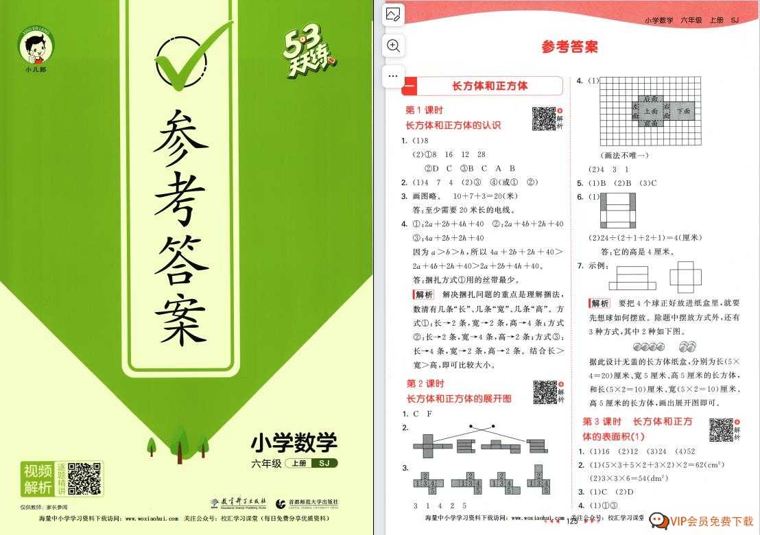 2023秋《53 天天练-参考答案》数学SJ苏教版 六年级上册 1份pdf电子版百度网盘下载