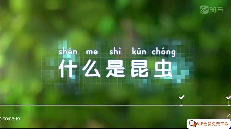 基于孩子的思维模式进行系统化的科普《斑马百科》掌握科学探究世界的方法 63G高清3D 动画片MP4 百度网盘下载