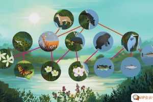 屡获殊荣的动画视频 帮助孩子增长见闻 Awesome Nature 共128集 了不起的自然科普系列动画